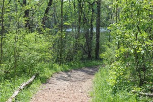 Head Out On a Hike Along the Water at Waterworks Park