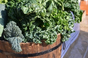 Do Your Grocery Shopping and Clothes Shopping at Annapolis Towne Centre