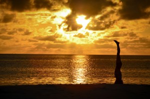 Find Some Time for Yoga and Meditation Through Classes at Yoga Love