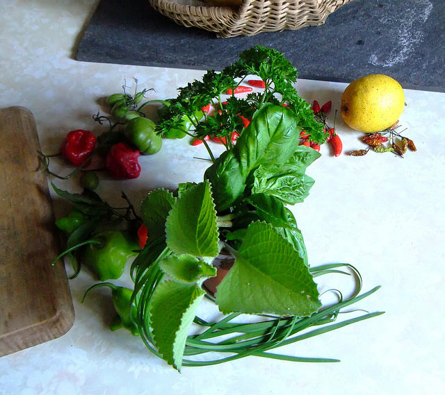 Learn How to Grow and Use Fresh Herbs at the My Victory Garden Cooking Class on December 28th