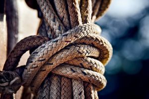 Enjoy a "Day on the Bay" Cruise With Watermark Cruises & Tours