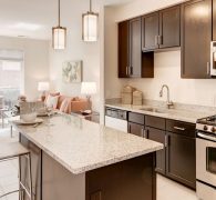 Granite Countertops offer elevated elegance