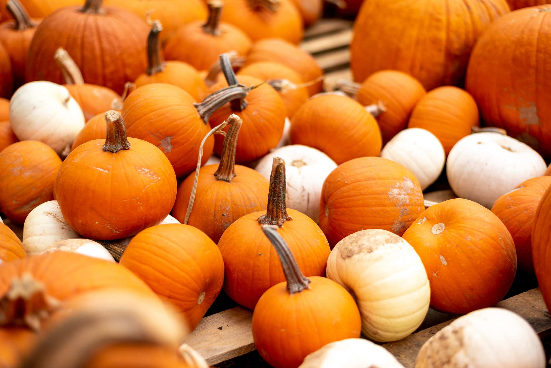 an assortment of orange and white pumpkins on a pallet