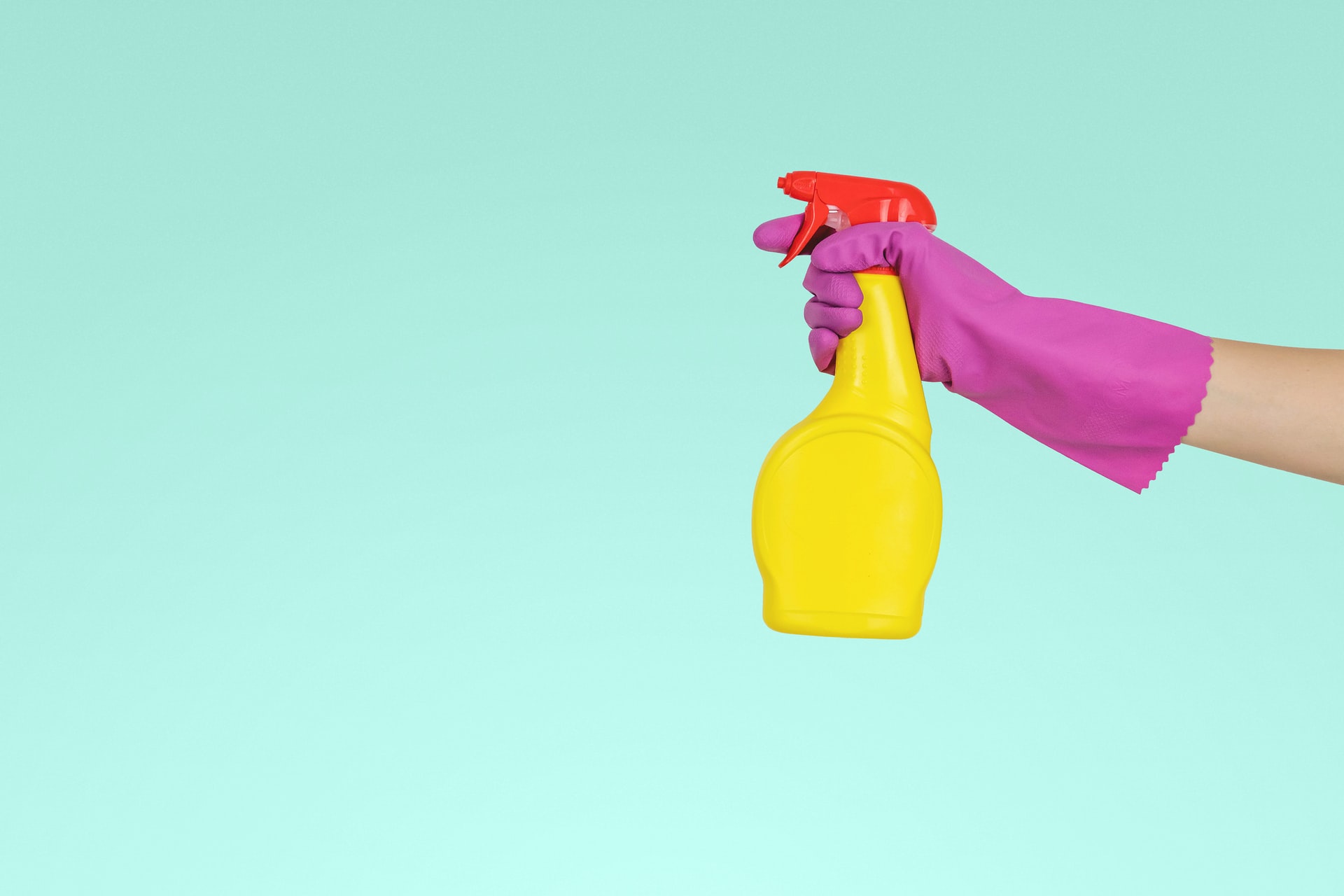 hand wearing purple rubber glove holding a bright yellow spray bottle